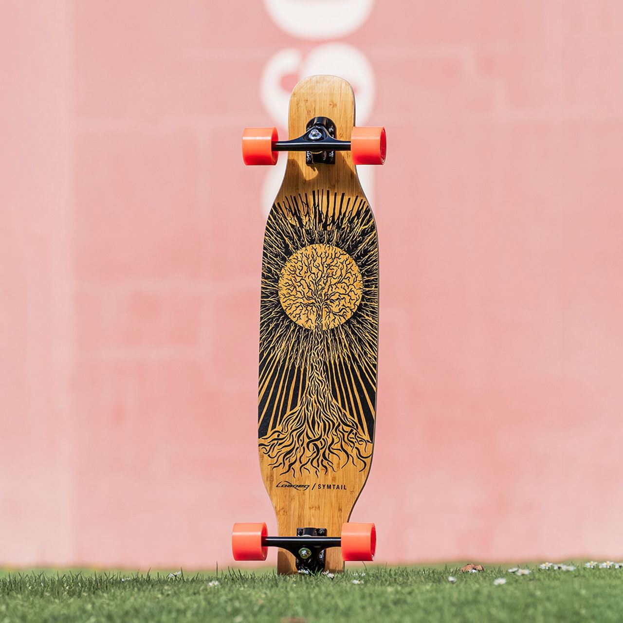 Symtail Complete - Flex 1 - Carving - 4President Orange